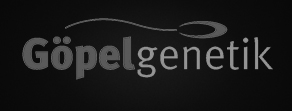 Client 3